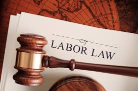 Labor Code of Vietnam 2012 - Chapter I GENERAL PROVISIONS